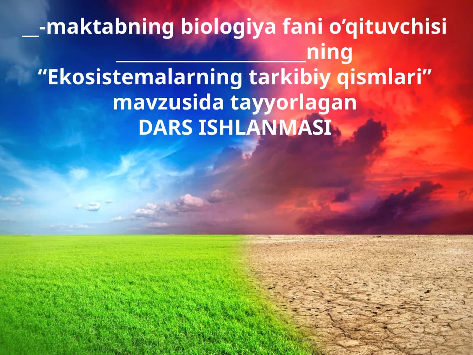 11-sinf Biologiya dars ishlanma. Ekosistemalarning tarkibiy qismlari