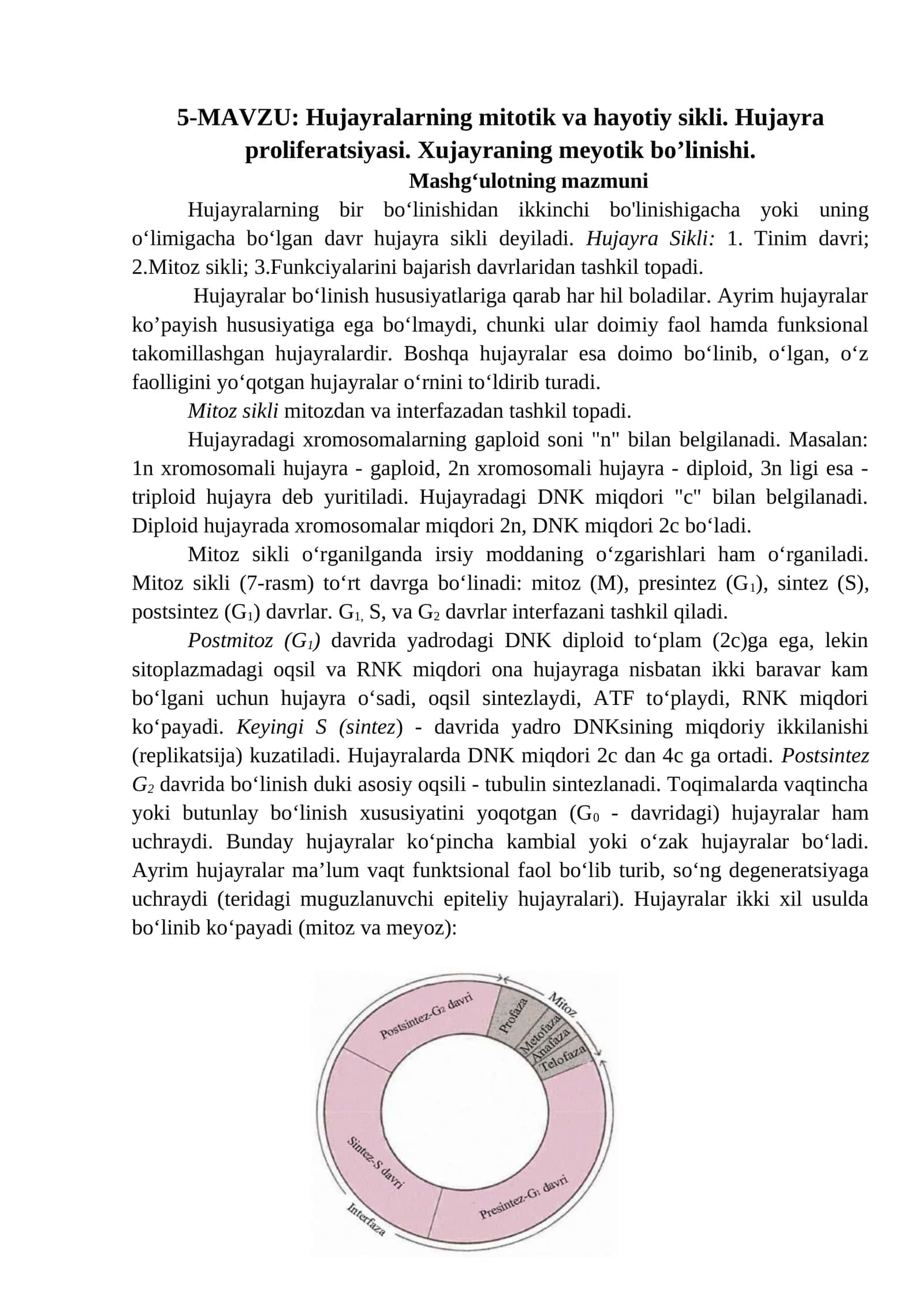 Hujayralarning mitotik va hayotiy sikli. Hujayra proliferatsiyasi. Xujayraning meyotik boʼlinishi