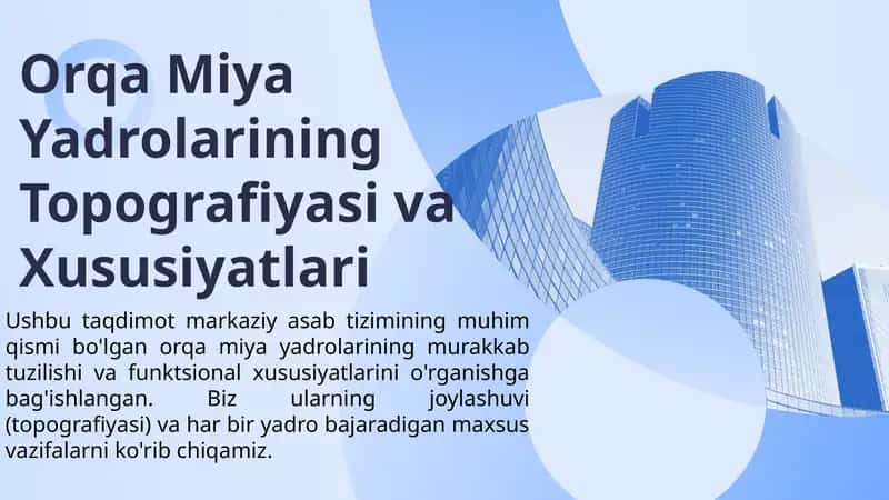 orqa miya yadrolarining topografiyasi va xususiyatlari