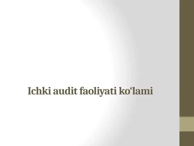 Ichkiaudit faoliyati ko‘lami