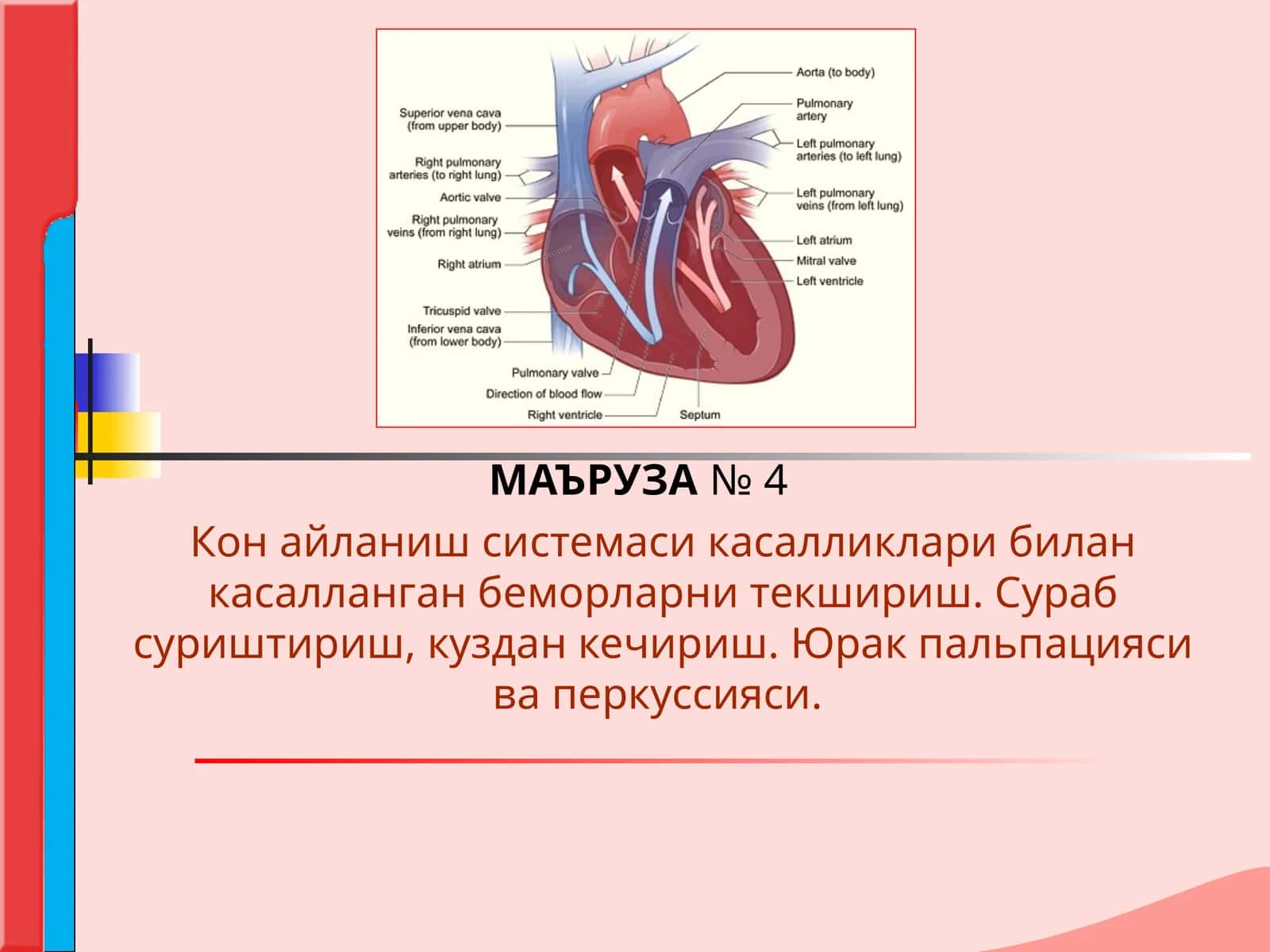 Кон айланиш системаси касалликлари билан касалланган беморларни текшириш. Сураб суриштириш, куздан кечириш. Юрак пальпацияси ва перкуссияси.