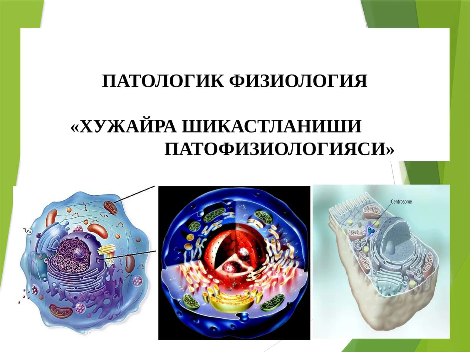 ПАТОЛОГИК ФИЗИОЛОГИЯ«ХУЖАЙРАШИКАСТЛАНИШИПАТОФИЗИОЛОГИЯСИ»