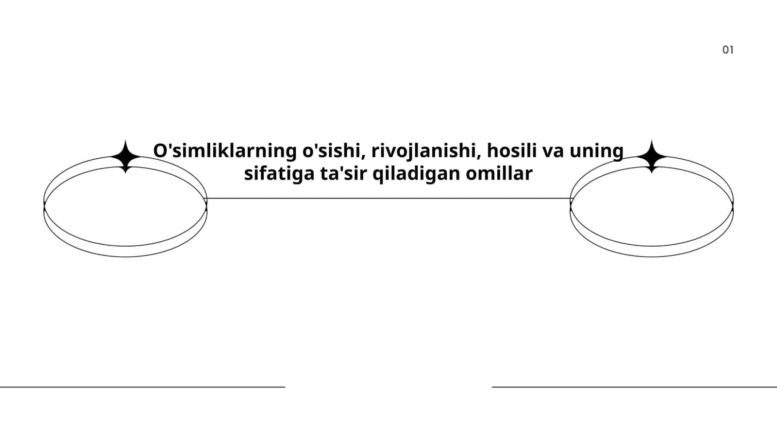 O'simliklarning o'sishi, rivojlanishi, hosili va uning sifatiga ta'sir qiladigan omillar