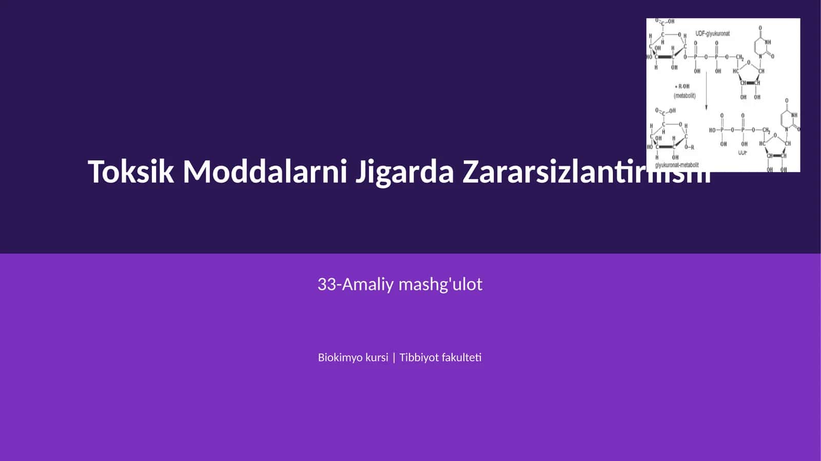 Toksik Moddalarni Jigarda Zararsizlantirilishi