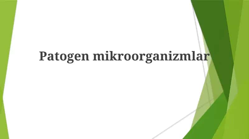 Patogenmikroorganizmlar