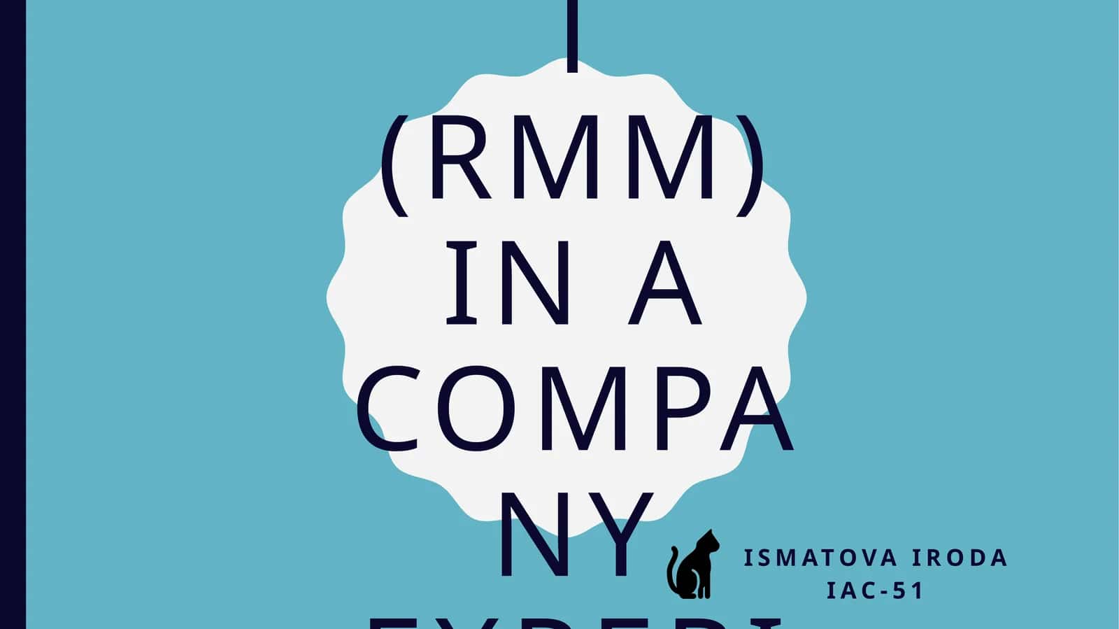 Risk of Material Misstatement (RMM) in a Rapid-Growth Company
