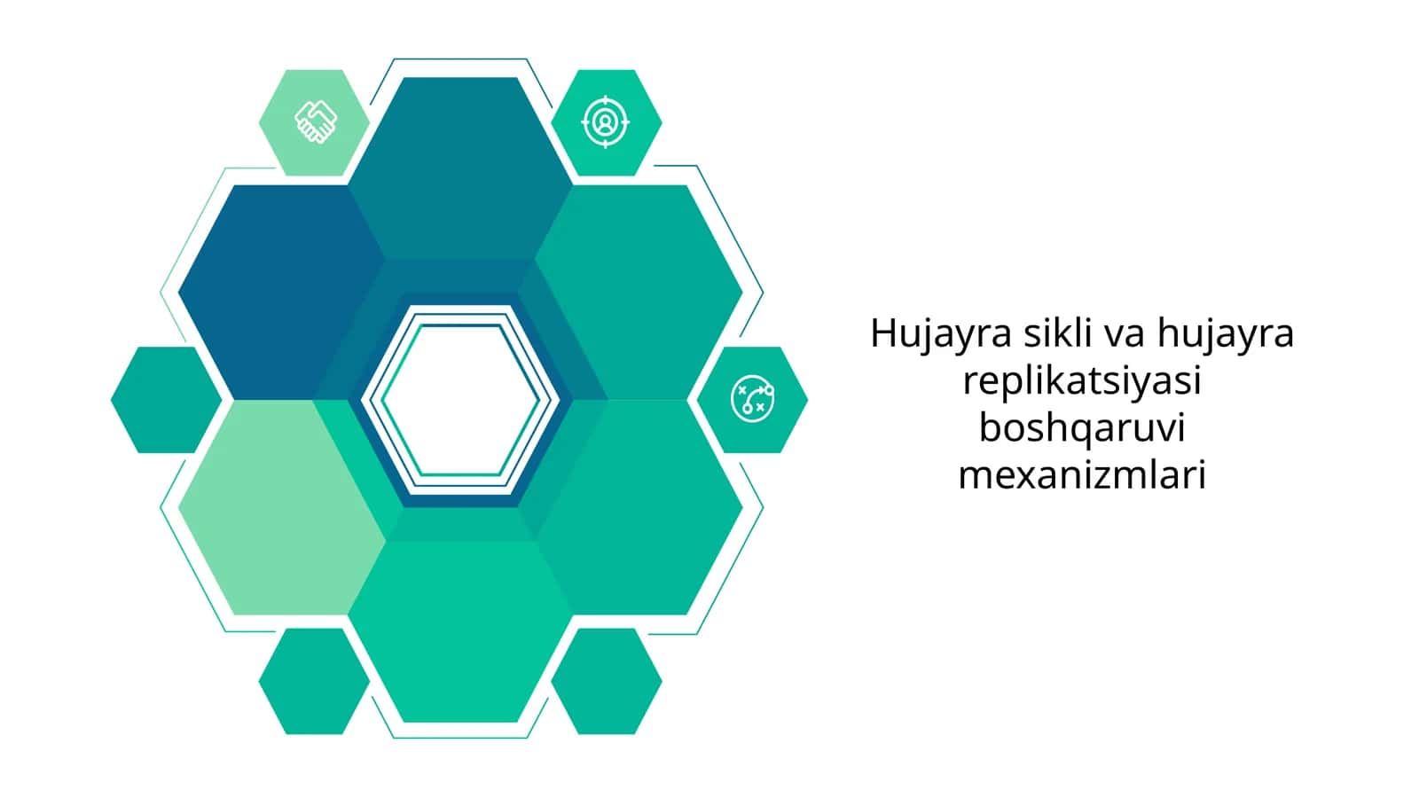Hujayra sikli va hujayra replikatsiyasi boshqaruvi mexanizmlari