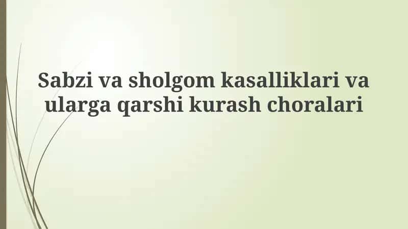 Sabzavot va turnip kasalliklarining umumiy ko'rinishi