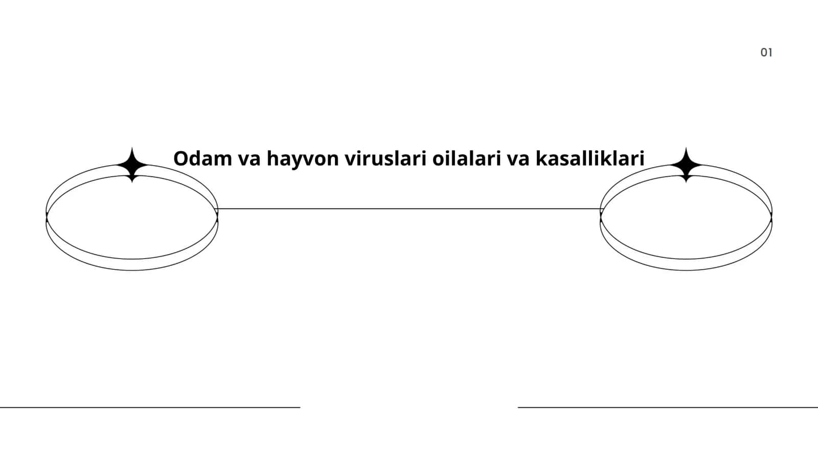 Odam va hayvon viruslari oilalari va kasalliklari