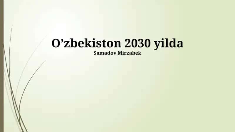 O'zbekiston 2030 yilda