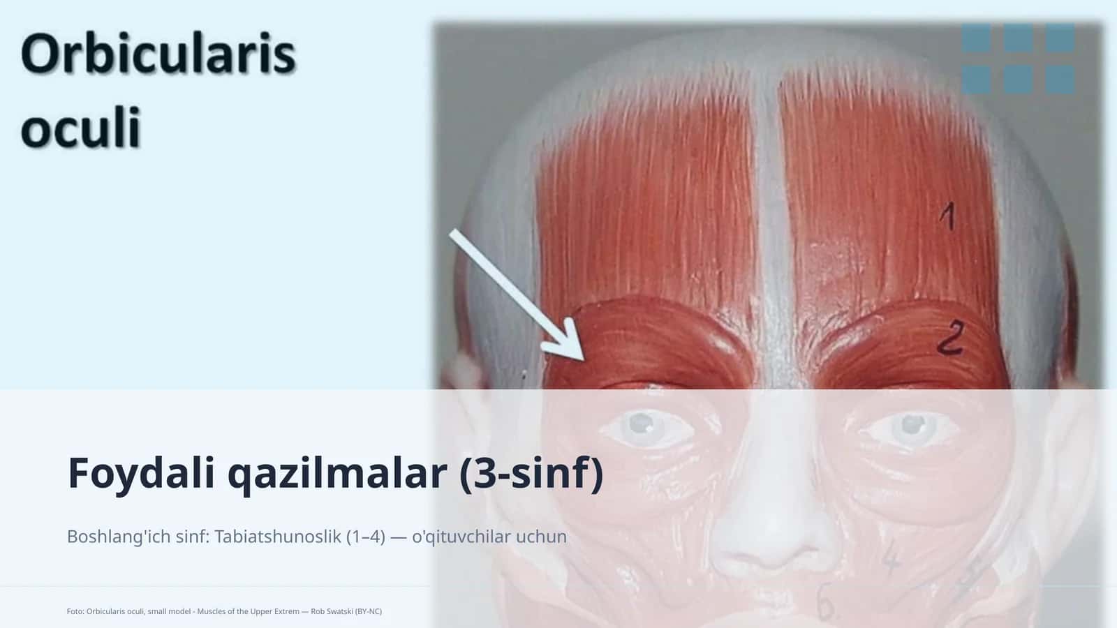 Foydali qazilmalar (3-sinf)