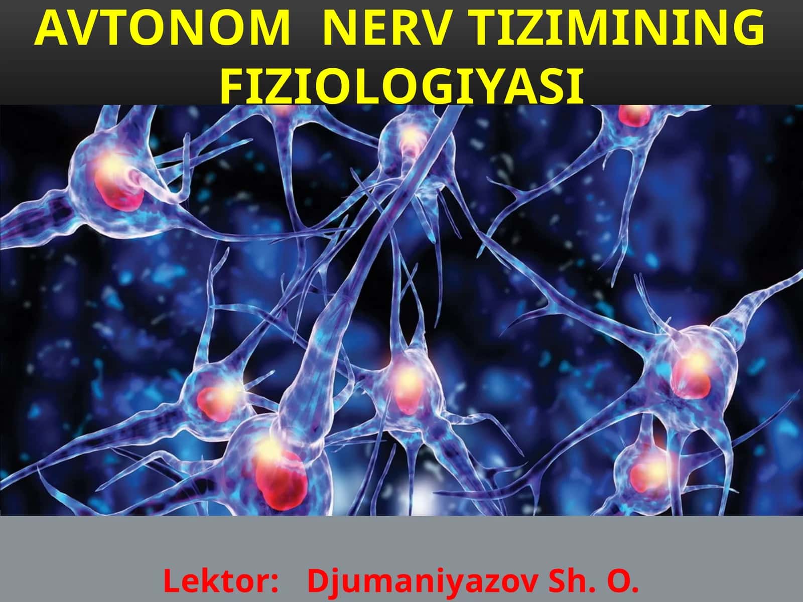 AVTONOMNERV TIZIMINING FIZIOLOGIYASI