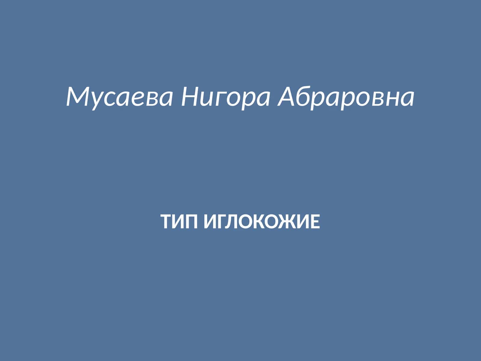 ТИП ИГЛОКОЖИЕ