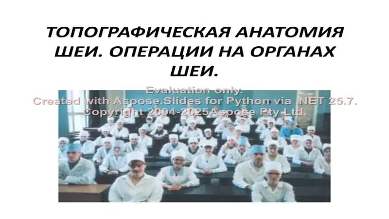 Топографическая анатомия шеи. Операции на органах шеи