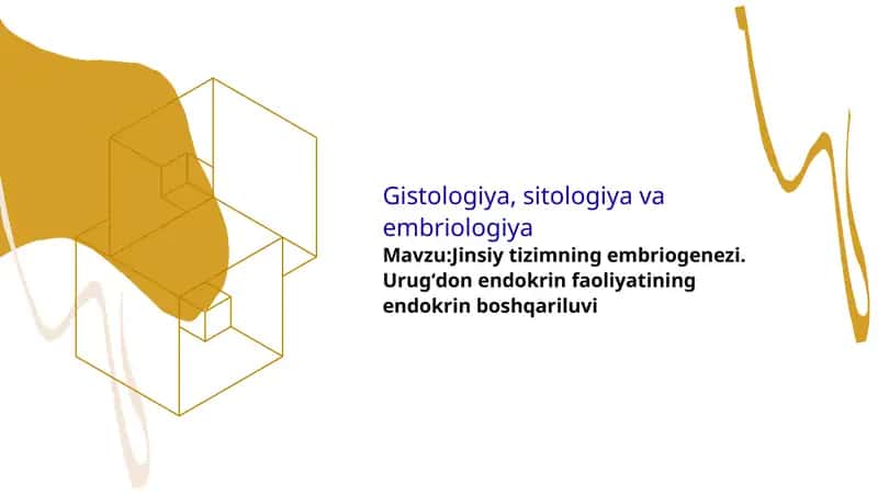 Gistologiya: Jinsiy tizimning embriogenezi