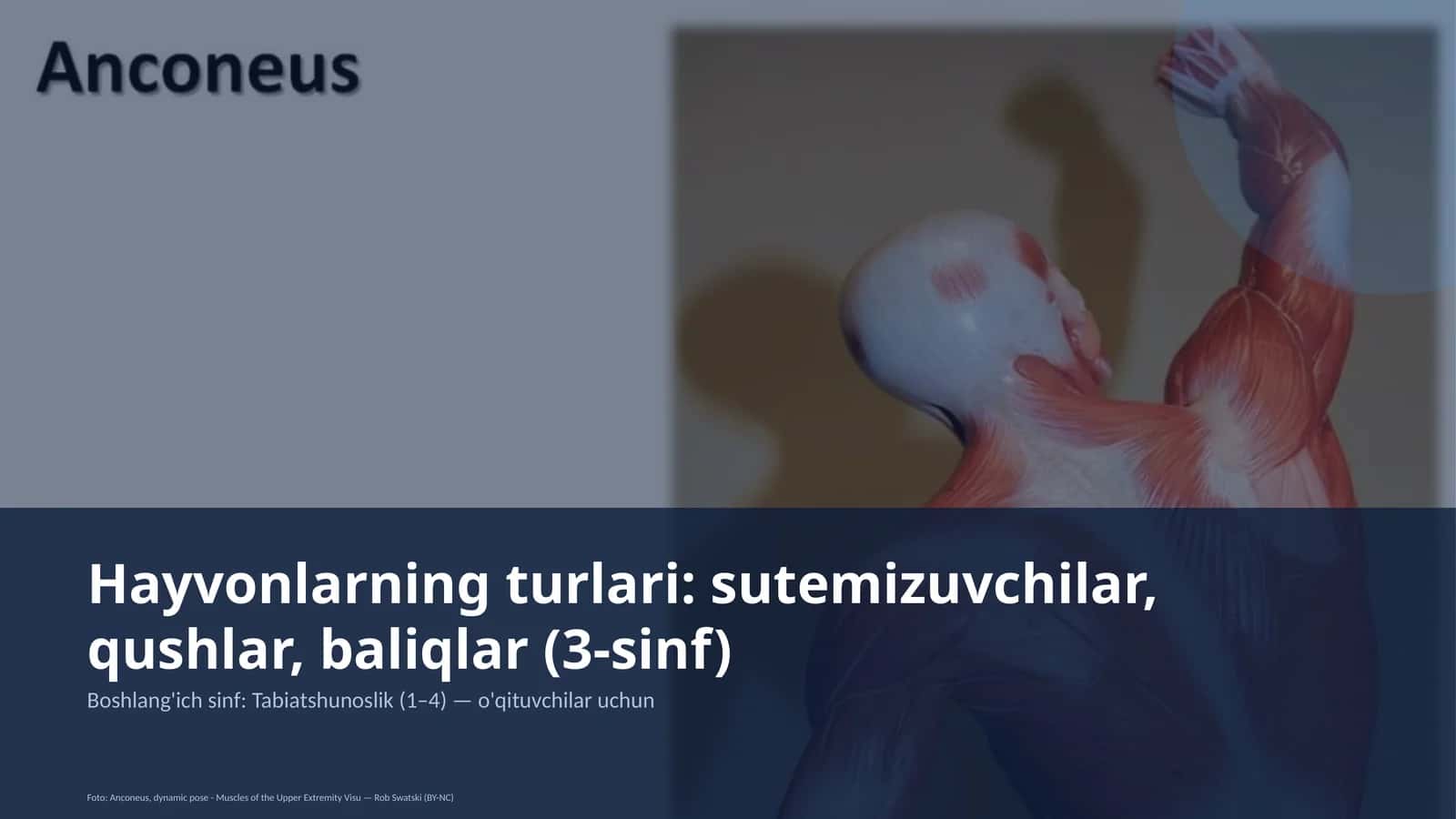 Tabiatshunoslik Dars Rejasi