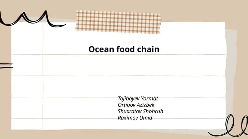 Ocean food chain
