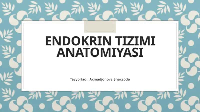 ENDOKRIN TIZIMI ANATOMIYASI