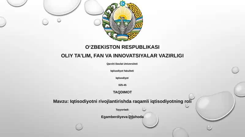 Raqamli iqtisodiyotning roli