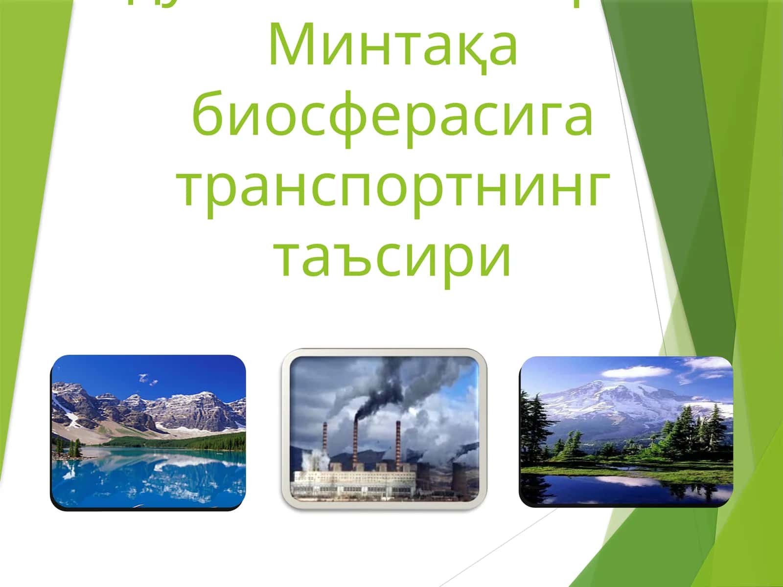 Чўлланиш жараёни: ўсимликлар дунёсига таъсири