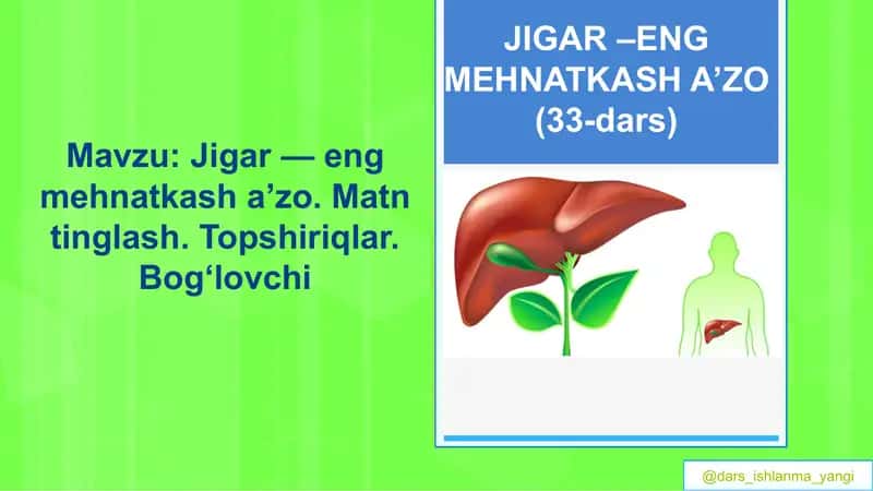 JIGAR –ENG MEHNATKASH A’ZO (33-dars)