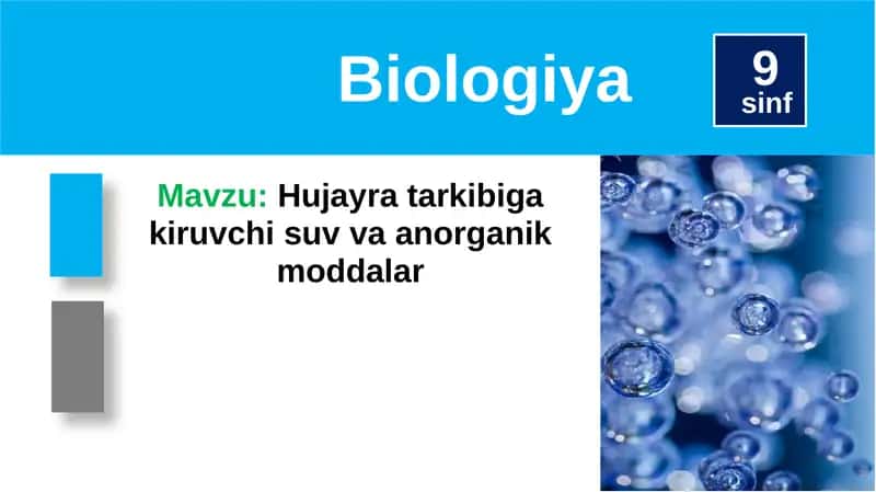 Hujayrat arkibi