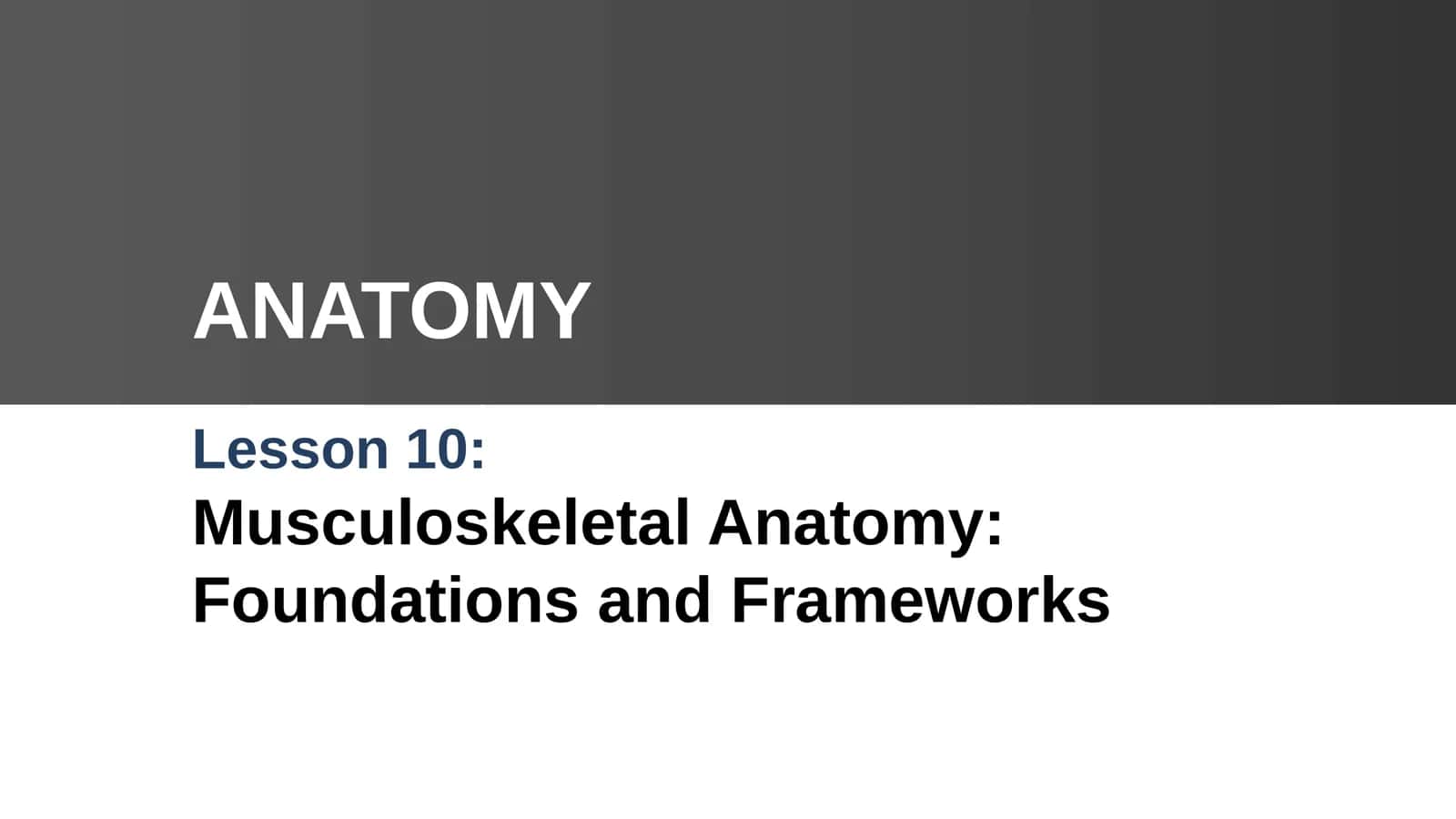 Musculoskeletal Anatomy: Foundations and Frameworks