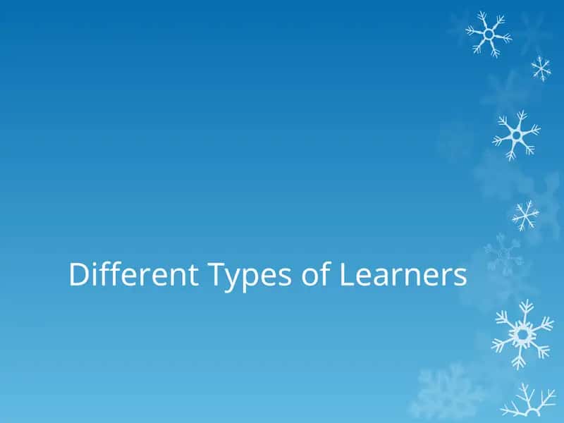 Different Types of Learners