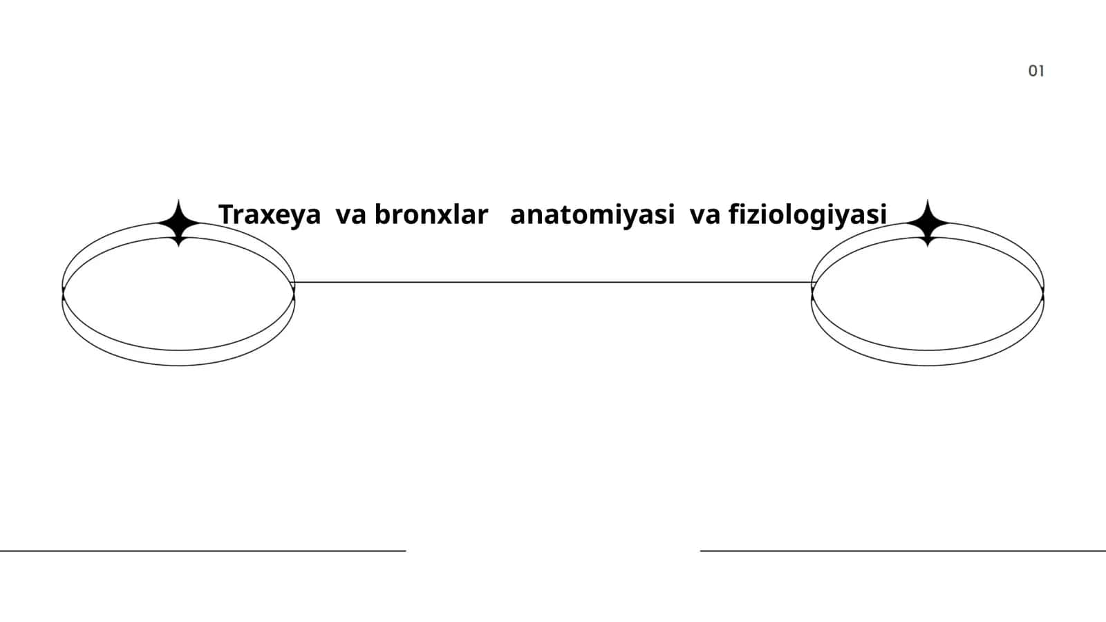 Traxeya va bronxlar anatomiyasi va fiziologiyasi