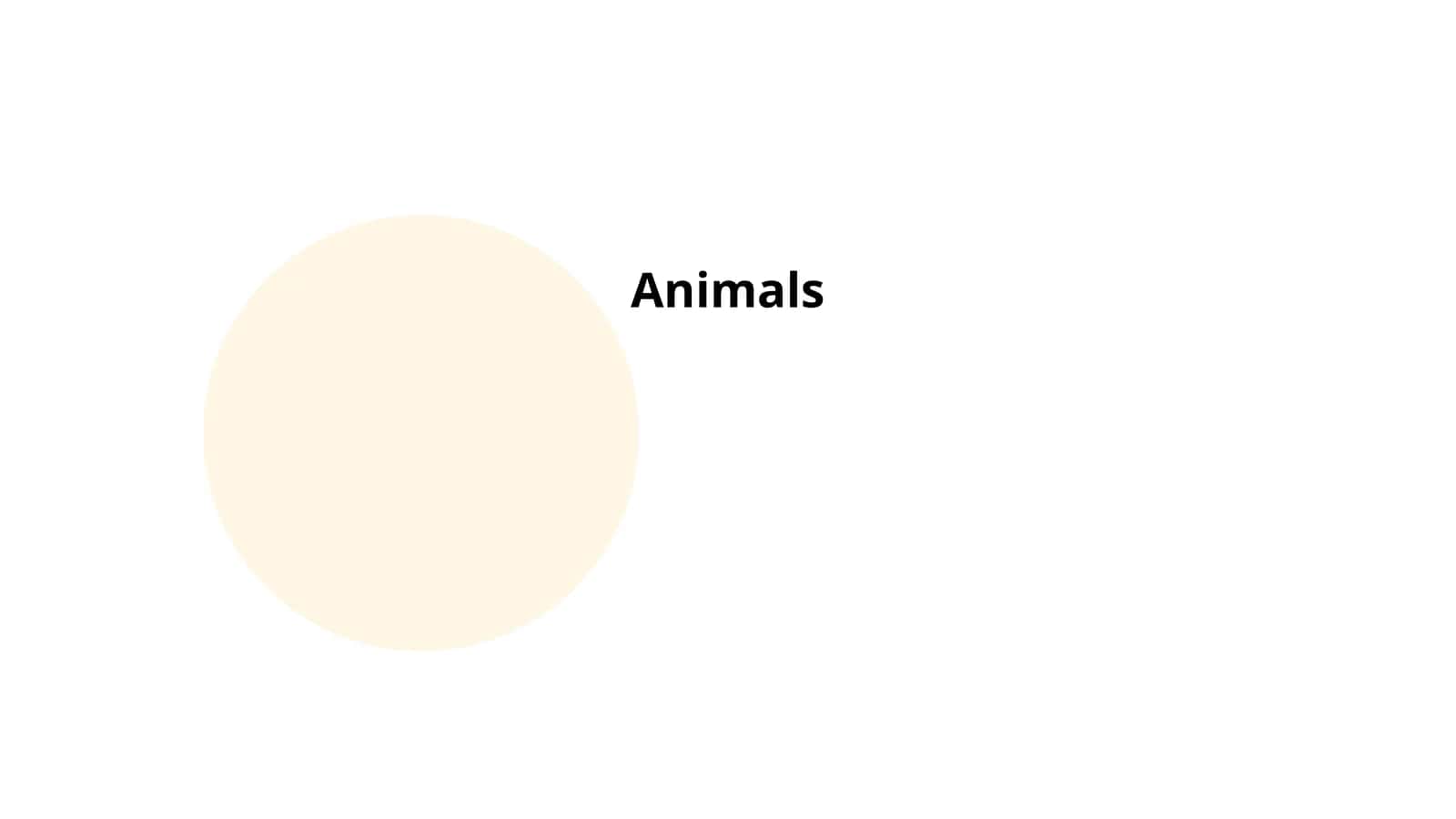 Animal Conservation