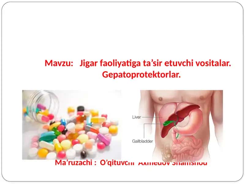 Jigar faoliyati gat’asiretuvchi vositalar. Gepatoprotektorlar