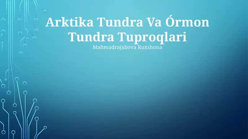 Arktika Tundra Va Órmon Tundra Tuproqlari