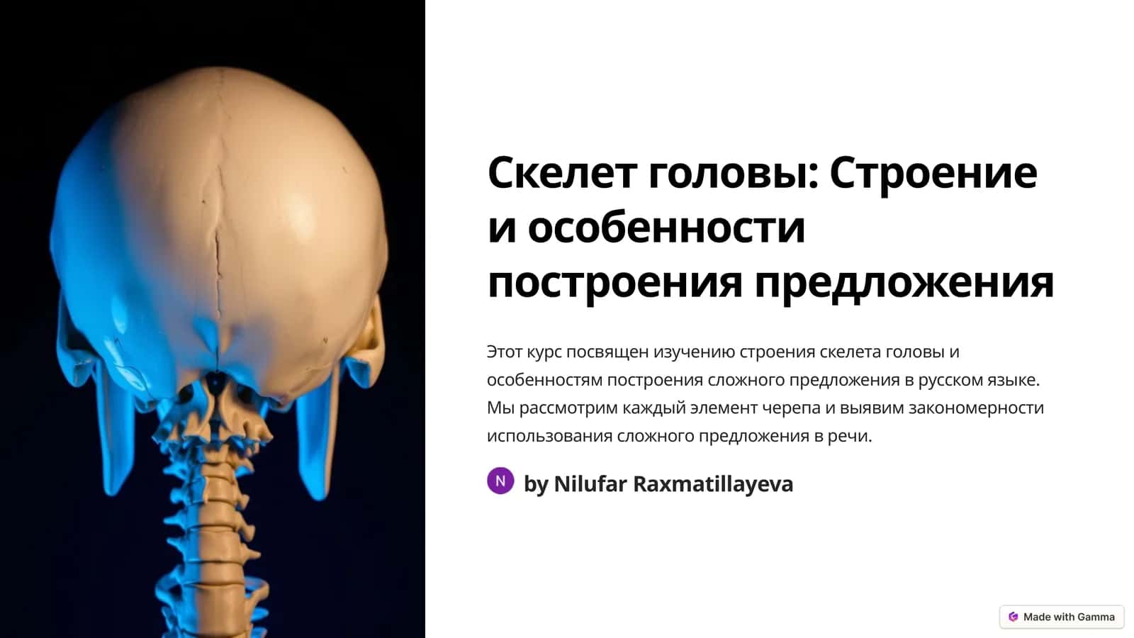 Скелет головы: Строение и особенности построения предложения