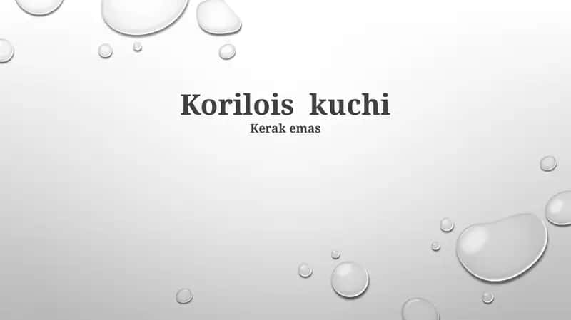Korilois iti
