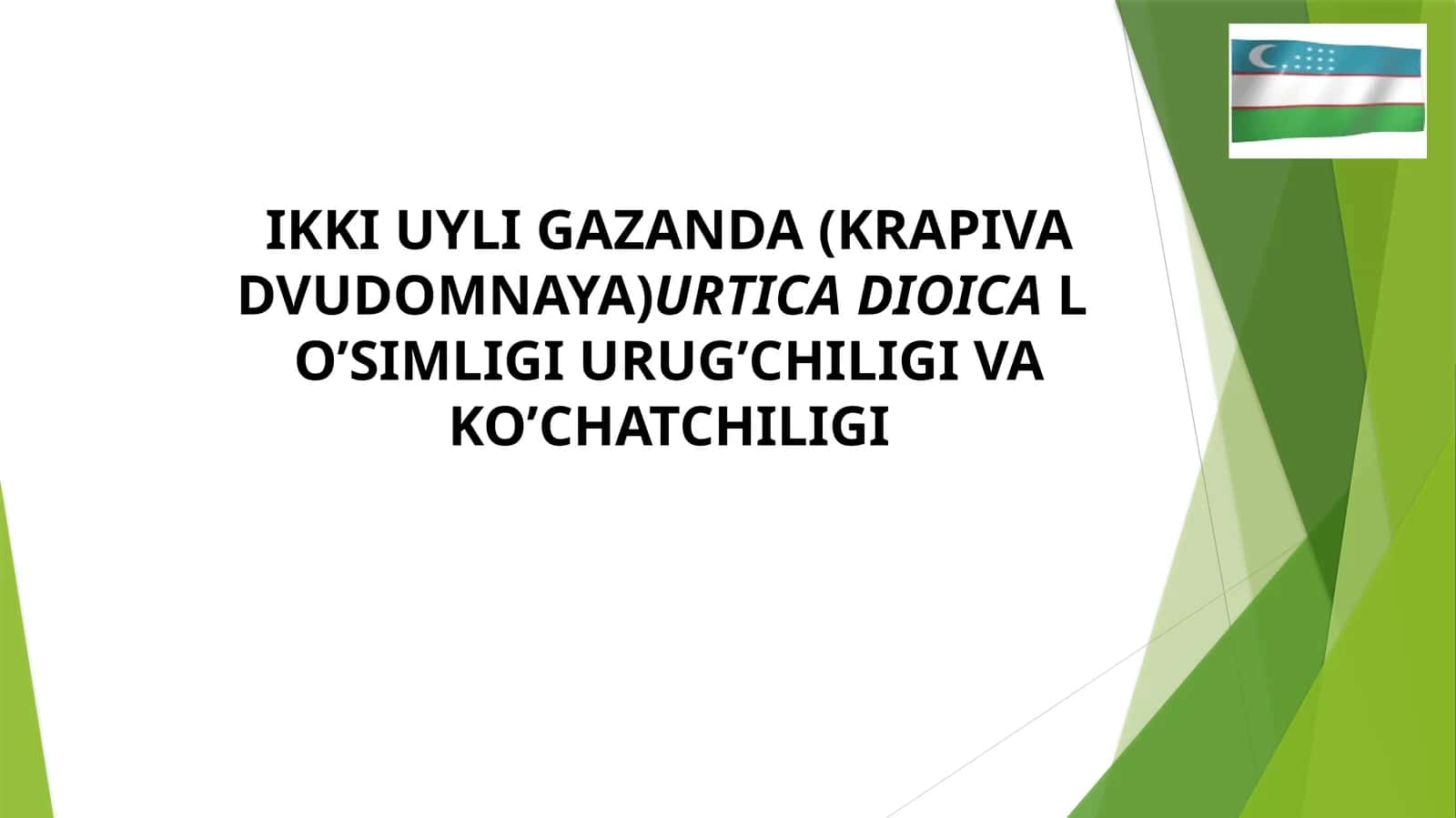 IKKI UYLI GAZANDA (KRAPIVA DVUDOMNAYA)URTICA DIOICAL O’SIMLIGI URUG’CHILIGI VA KO’CHATCHILIGI