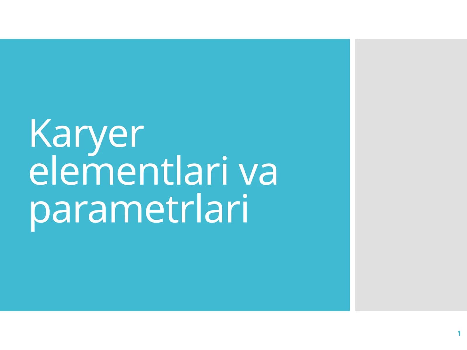 Karyer elementlari va parametrlari
