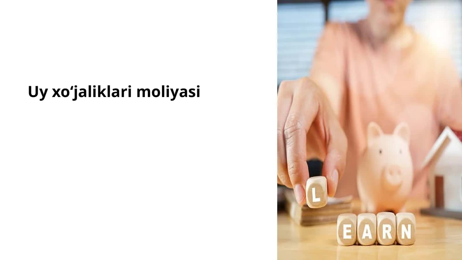 Uy xoʻjaliklari moliyasi