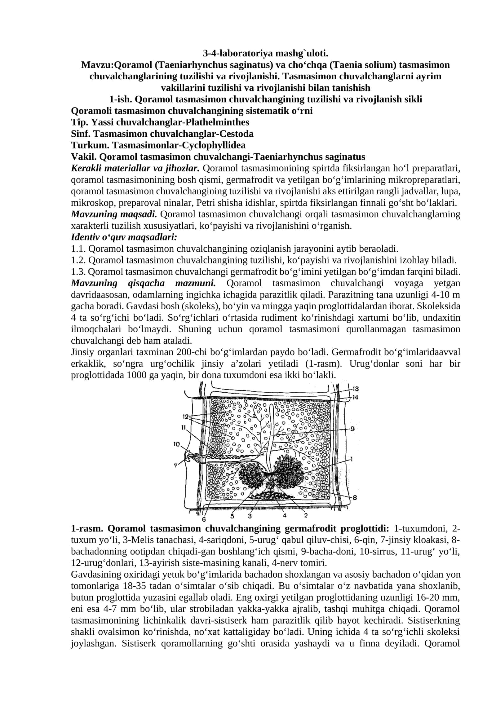 Qoramol (Taeniarhynchus saginatus) va cho‘chqa (Taenia solium) tasmasimon chuvalchanglarining tuzilishi va rivojlanishi