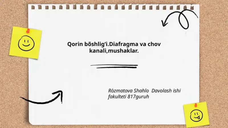 Qorin bo'shlig'ining umumiy anatomik chegaralari