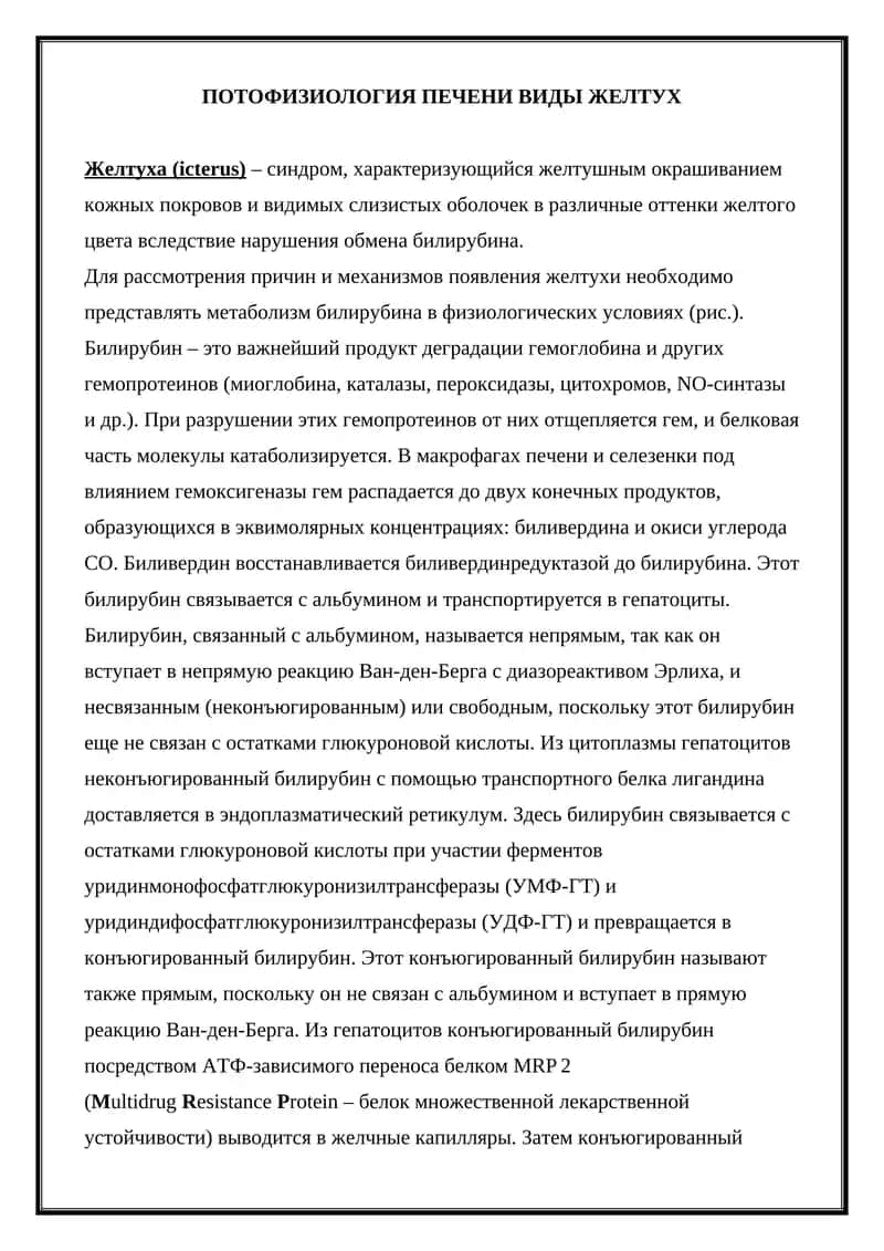 Потофизиология печени виды желтух