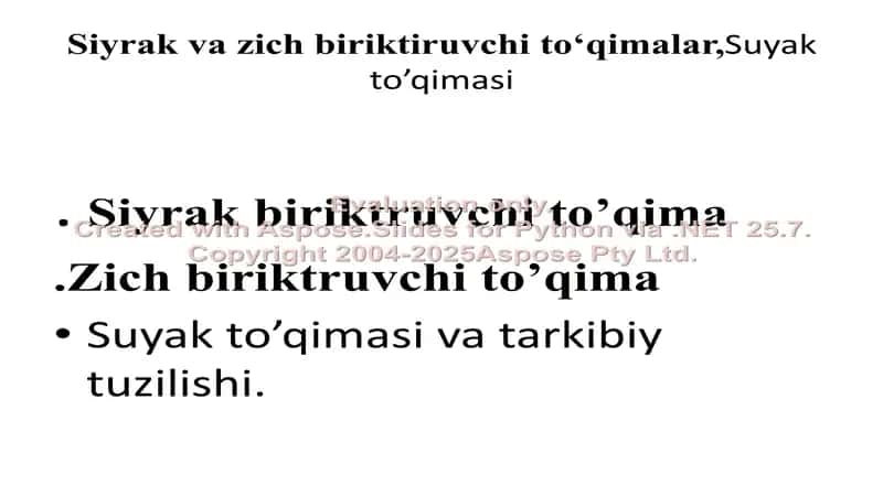 Siyrak va zich biriktiruvchi to‘qimalar, Suyak to’qimasi