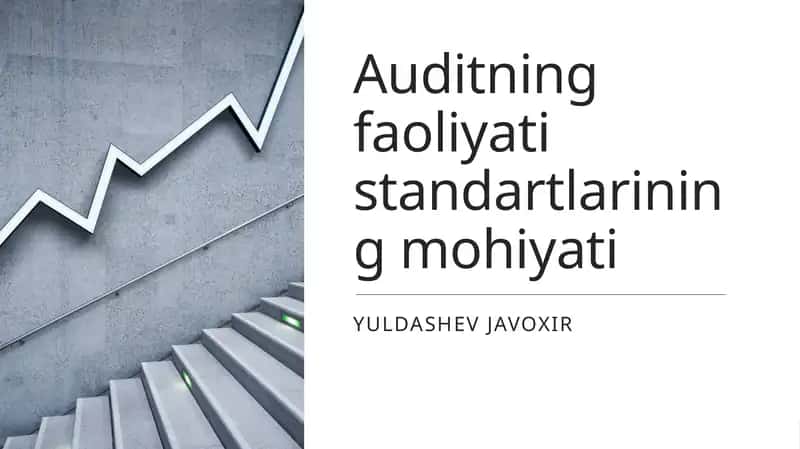 Auditning faoliyati standartlarining mohiyati