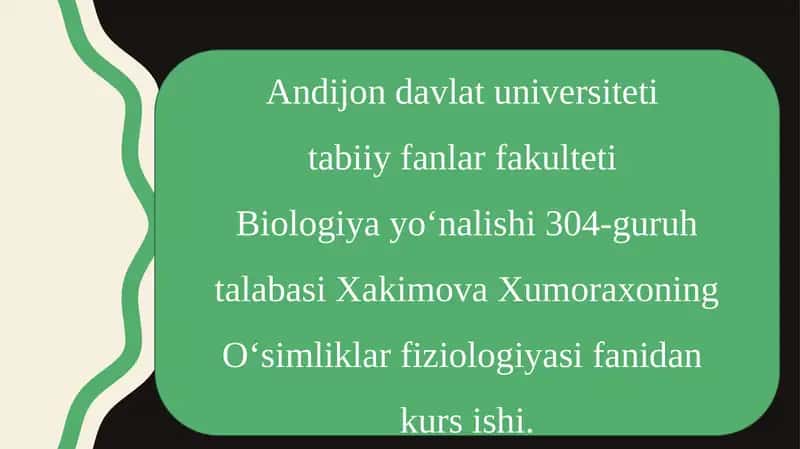 Fotosintez Fiziologiyasi