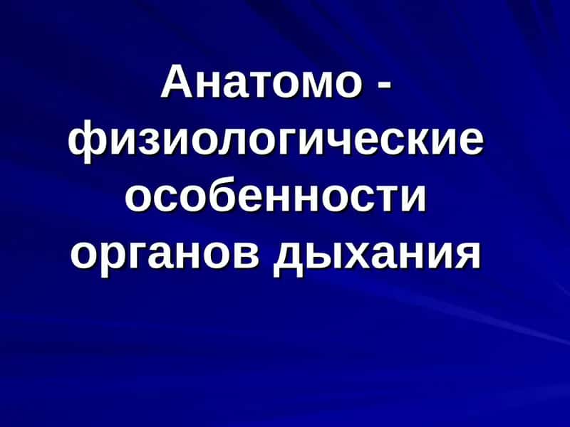 Развитие дыхательной системы внутриутробно
