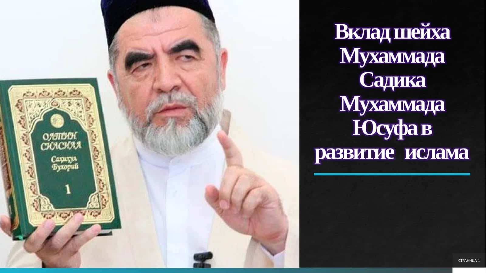 Вклад шейха Мухаммада Садика Мухаммада Юсуфа в развитие ислама