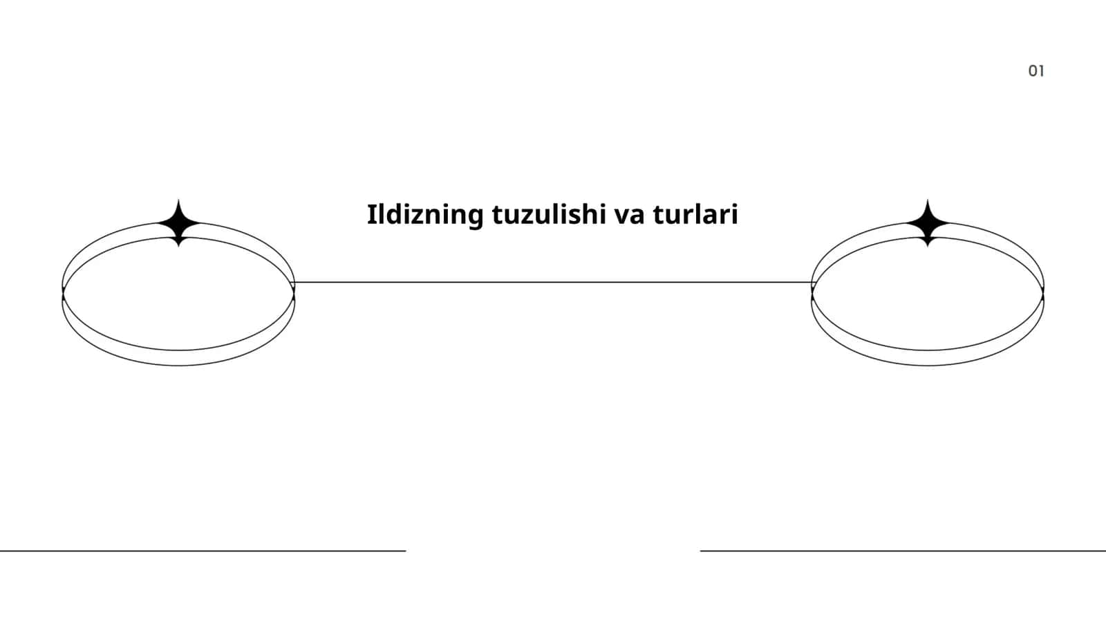 Ildizning tuzulishi va turlari