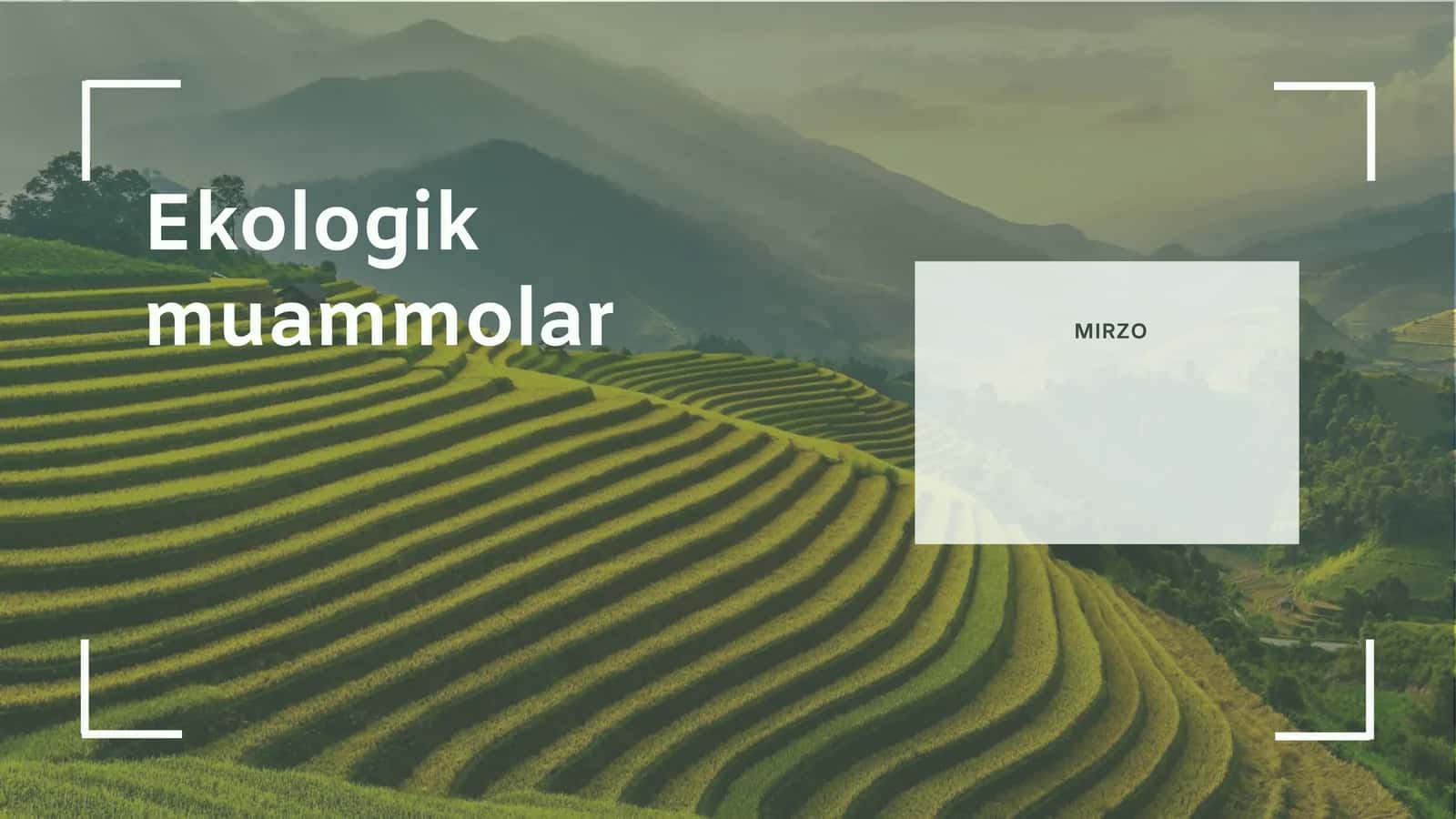 Ekologik Muammolar