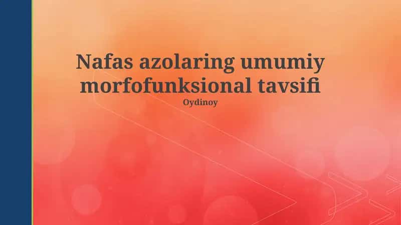 Nafas azolaring umumiy morfofunksional tavsifi