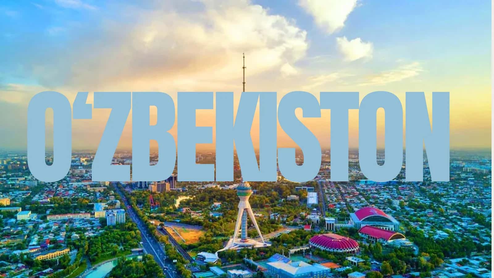 Tashqi ta'sirlarni yumshatish bo'yicha davlat siyosati