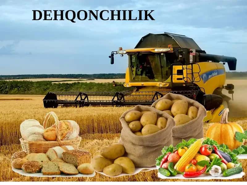 Dehqonchilik